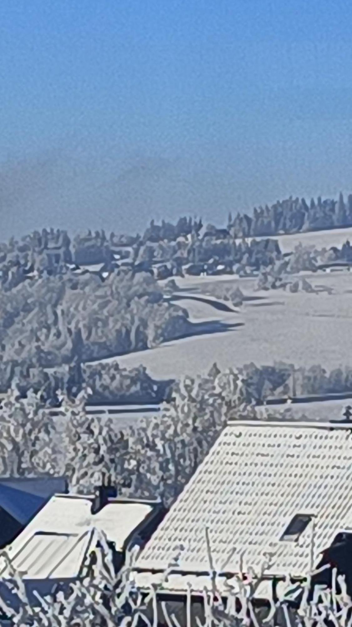 Pension Thueringer Wald Reichmannsdorf Buitenkant foto
