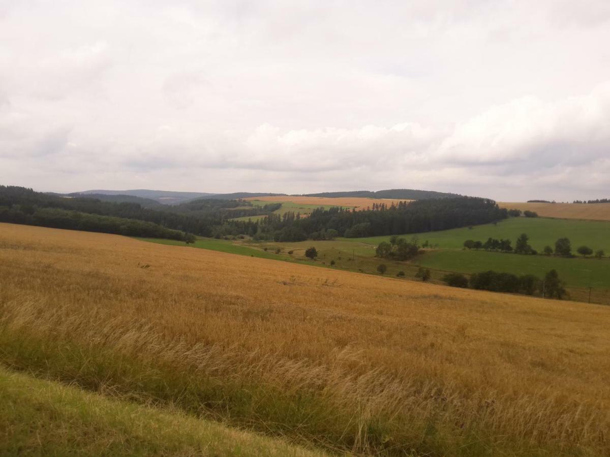 Pension Thueringer Wald Reichmannsdorf Buitenkant foto